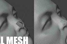 Free Download:Smart Fill Blender Add-On V1.5.0