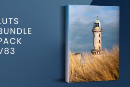 LUTs Bundle Pack V83 | FCPX 49545712