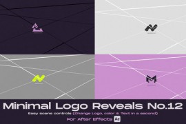 Minimal Logo Reveal 12 43720867