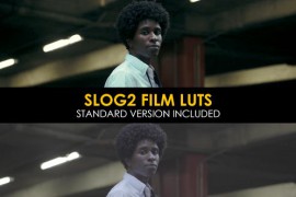 Film Slog2 and Standard Color LUTs 48914869