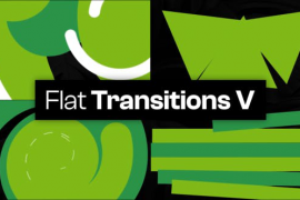 25 Flat Transitions V 48108491