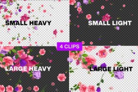 Flowers Falling Pack Seamless Loop Alpha 46171224