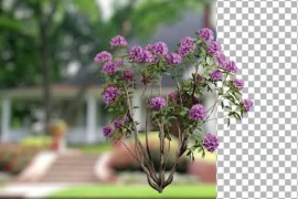 Animated Flowering tree with purple flowers 51109920