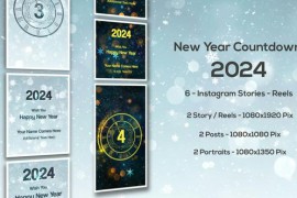 New Year Countdown 2024 - Instagram Stories 49704213