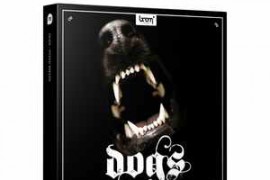 Boom Library Dogs WAV