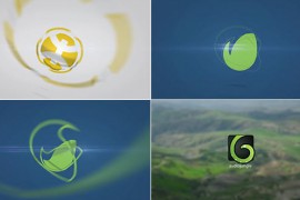 Clean Short Logo Ident 3 11846366