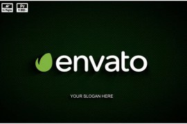 Energy Logo Reveal V.2 48651385