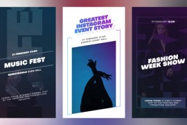 Instagram Event Stories | Premiere Pro 44209427