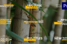 Yellow Corporate Titles 50158972