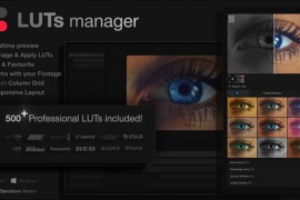 LUTs Manager: Preview LUTs In Real-time Tool & 500 Professional LUTs 55855580