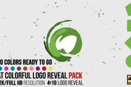 Flat Colorful Logo Reveal Pack 15930197