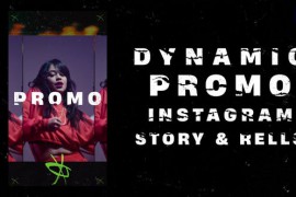 Dynamic Promo Instagram Story & Reels Premiere Pro 48622554