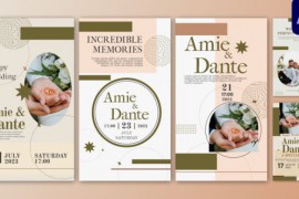 Wedding Invitation Instagram Stories Template | MOGRT Premiere 44792787