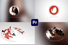 Low Poly Logo 43528361