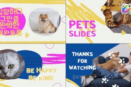 Pets Slides | FCPX 48141063