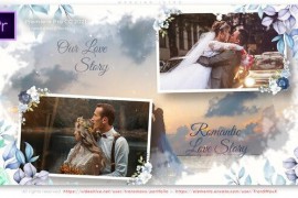 Wedding Intro 43145379