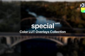 Special Color Presets for Final Cut Pro Vol. 05 48290602