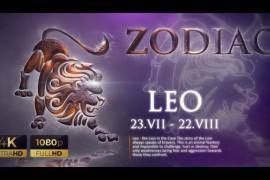 Zodiac 23103284