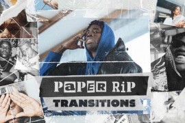 Paper Rip Transitions 50203013