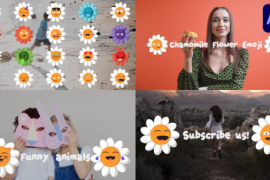 Chamomile Flower Emoji for After Effects 50914507