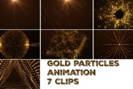 Gold Particles Pack 50240302