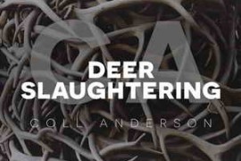 C.A. Sound Deer WAV-FANTASTiC