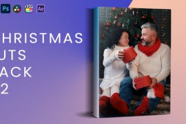 Christmas LUTs Pack V2 41997981