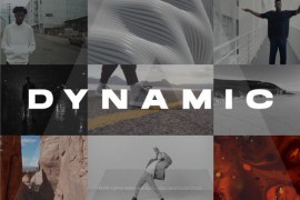Dynamic Stomp Opener 45094548