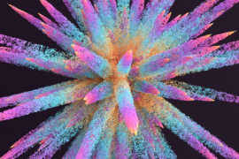 color particle blast 46186234