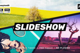 Seamless Slideshow 51449727