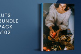 LUTs Bundle Pack V102 | FCPX 50196005