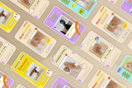 Fashion Instagram Stories 40048010