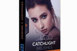 Free Download:Amanda Diaz Photography – Catchlight Brushes