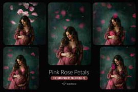 Pink rose flower petals transparent PNG overlays