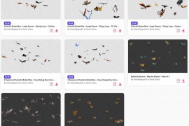 2024.1.21.8.Set.Stock-Video