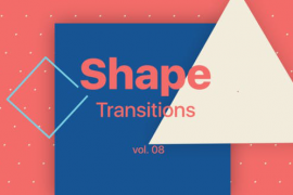 Shape Transitions Vol. 08 45533011