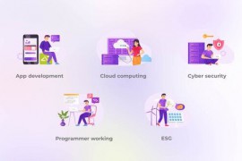 Programmer working - Situation Concepts 42439612