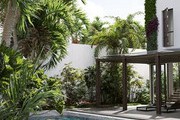 Maxtree Plant Models Vol.80