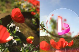 Flower Spring Logo Reveal 45076139