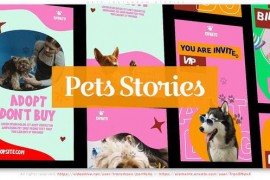Pets Instagram Stories 46054242