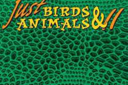 Sound Ideas Just Birds and Animals II Sound Fx Wav Library Internal - PHOTONE