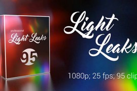 95 Light Leaks 19221790