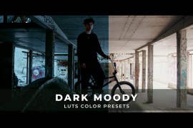 Dark Moody Luts 43193576