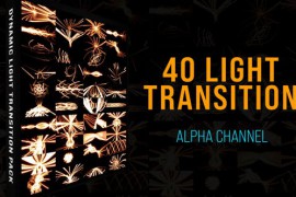 Light Lines Transition Pack 44941709
