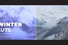 Winter LUTs 43395596