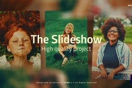 The Slideshow 46886232