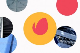 Circle Logo Reveal 2 Premiere Pro 46010399