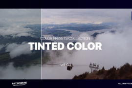 Tinted LUT Collection Vol. 03 for Premiere Pro 45947029