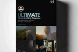 Loris Marie – Ultimate Powergrade (Davinci Resolve)