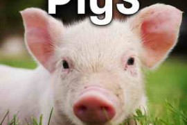 Sound Ideas Pigs Sound Effects FLAC